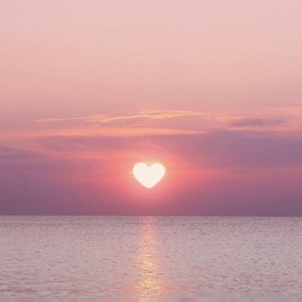 Meet your Posher, Julissa